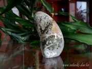 IMG_9467 copy1